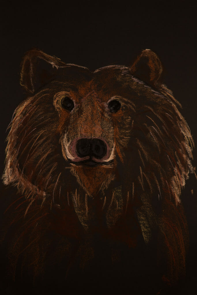 Image showing a bear